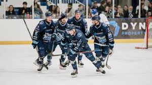 Image result for Leeds Sharks