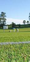 Image result for Elham Valley Cricket Club