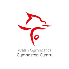 Image result for Usk Valley Trampoline Club