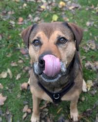 Image result for Wythall Cc