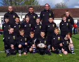 Image result for Pembroke Dock Harlequins RFC