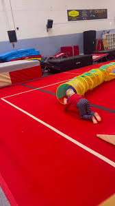 Image result for Hawth Gymnastics, Crawley