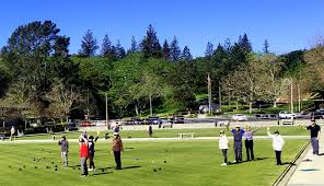 Image result for Roslin Welfare Bowling Club