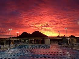 Image result for Elmbridge Phoenix Swimming Club
