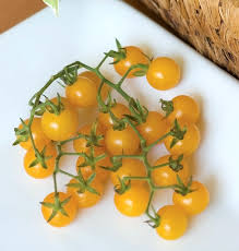 Afbeeldingsresultaat voor broad ripple yellow currant tomato