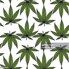 Attēlu rezultāti vaicājumam “Cannabis sativa leaf”