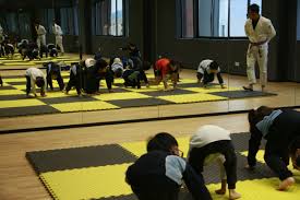 Image result for British Jiu-Jitsu School