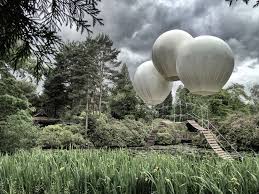 Image result for PONT DE SINGE