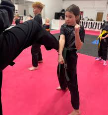 Image result for Vipers Thai/Kickboxing School