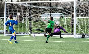 Image result for Leatherhead Football Club