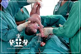 Image result for cesarskie