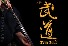 Image result for Budo Warrior Schools