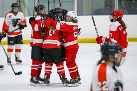 Image result for Frome Ladies Hockey Club