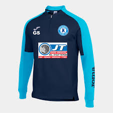 Image result for Haverfordwest Cricket Club