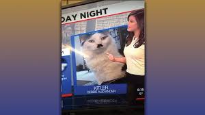 Image result for kitler