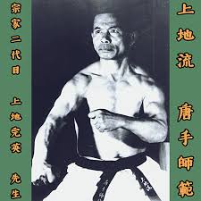 Image result for Uechi-Ryu Karate Do, Hedge End