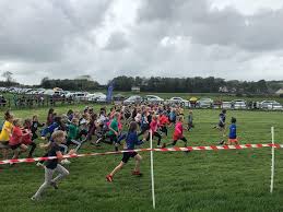 Image result for Pembrokeshire Harriers