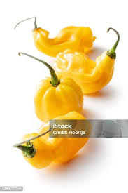 Afbeeldingsresultaat voor mme jeanette hot pepper