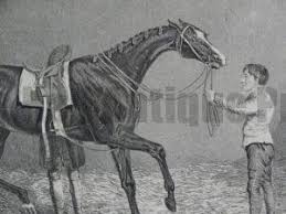 Image result for Art Prints of Horses and Jockeys from 1700's to 1900's