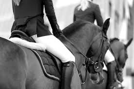 Image result for Woodhill Riding Club
