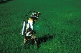 Fertilizer