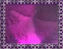 American College of Rheumatology Annual Meeting 2010 | Don't miss ...