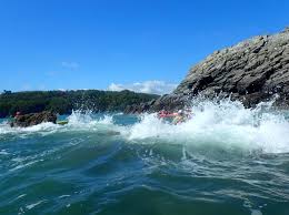 Image result for Chiswick Pier Canoe Club