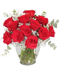 Image result for Red Rose Cc
