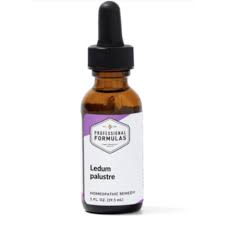 Attēlu rezultāti vaicājumam “Ledum palustre”