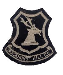 Image result for Buckhurst Hill Cricket & Lacrosse Club