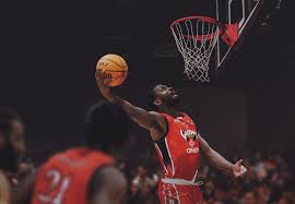 Image result for Birmingham University Lions