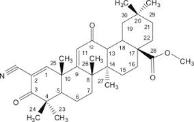 Attēlu rezultāti vaicājumam “Diderma simplex sessile”