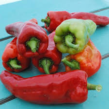 Afbeeldingsresultaat voor giant 3 sweet pepper