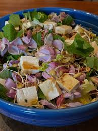 Attēlu rezultāti vaicājumam “Robinia neomexicana fruit”