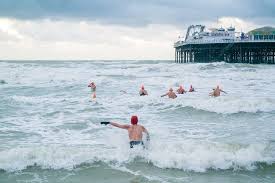 Image result for Brighton Swimming Club