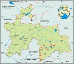 Attēlu rezultāti vaicājumam “Chaetophora pisiformis”