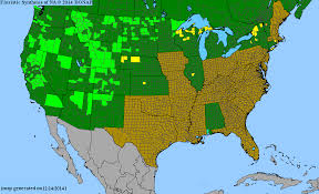 Attēlu rezultāti vaicājumam “Callitriche hermaphroditica”