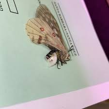 Attēlu rezultāti vaicājumam “Ptinus sp. female”