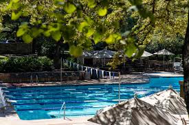 Image result for Westwood Badminton Club