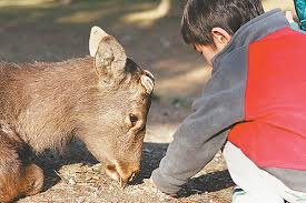 Image result for 2009早春