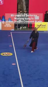 Image result for BARNET and WHETSTONE CHANGQUAN FLYING DRAGON