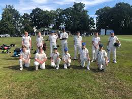 Image result for Halstead Colts Cricket Club