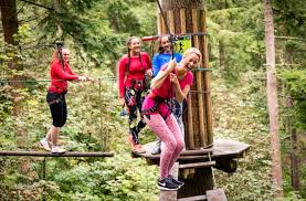 Image result for Go Ape! Dalby