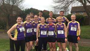 Image result for Leighton Buzzard (Beds) Netball Club