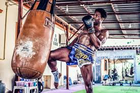 Image result for Professional  Martial Arts Academy