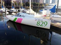 Image result for Pogo minitransat