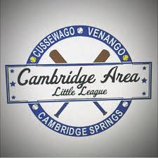 Image result for Elmbridge Girls` Little League