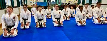 Image result for Windsor Karate Club