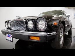 Image result for Curlew 1986 Jaguar