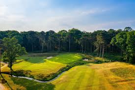 Image result for Woking Badminton Club